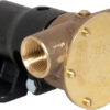 Bronsepumpe BRZ PED 040 BSP