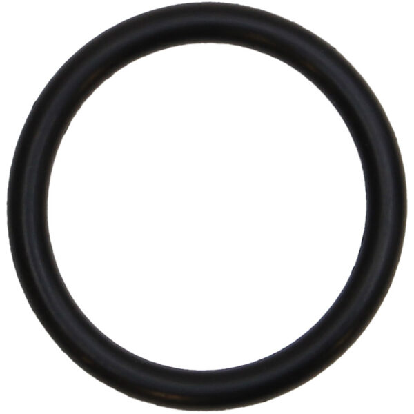 9002723_XL.jpg Jabsco Kit O-ring