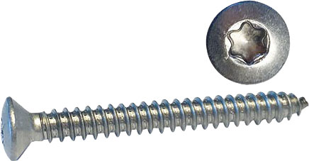 H1051510_XL.jpg Syrefaste skruer A4, linsehode, torx